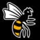 Wasps FC Logo