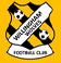 Willingham Wolves FC Logo