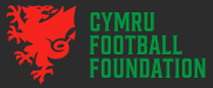 se-logo-white Cymru Football Foundation